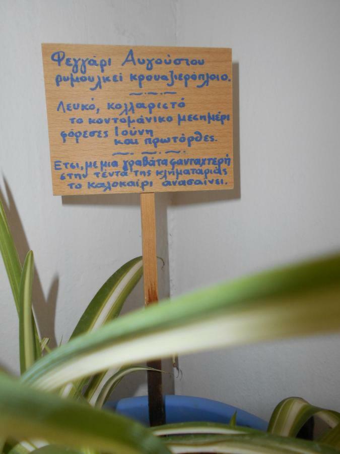 Lejlighed Maison Masse - With Private Courtyard (adults Only) *